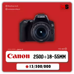 stock