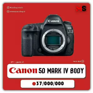 stock