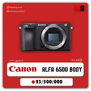 stock