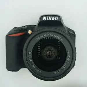 stock