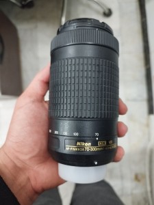 stock