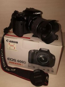 stock