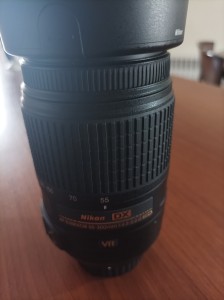 stock