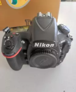 stock