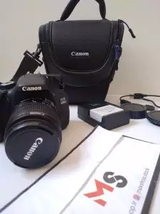 stock