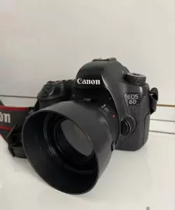 stock
