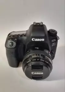 stock