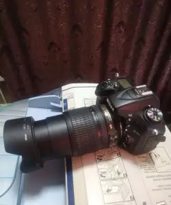 stock