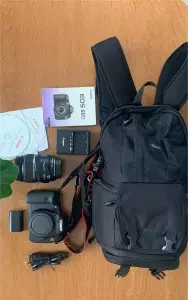 stock
