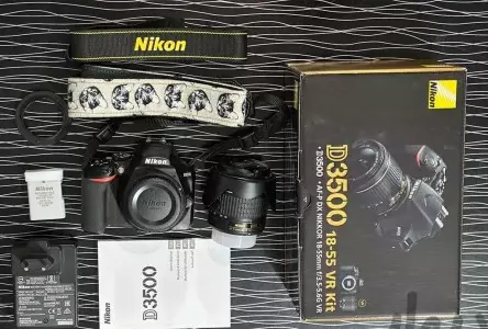 stock