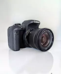 stock