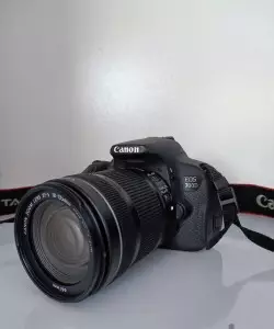 stock