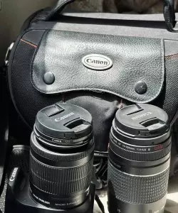 stock