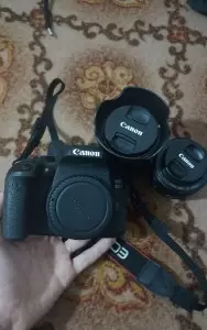 stock