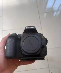 stock