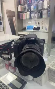 stock
