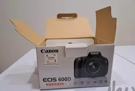 stock