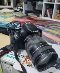 stock