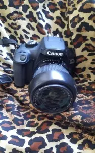 stock