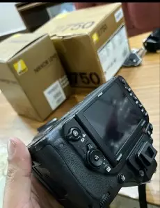 stock