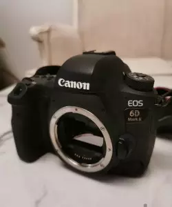 stock