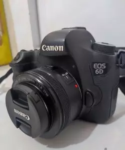 stock