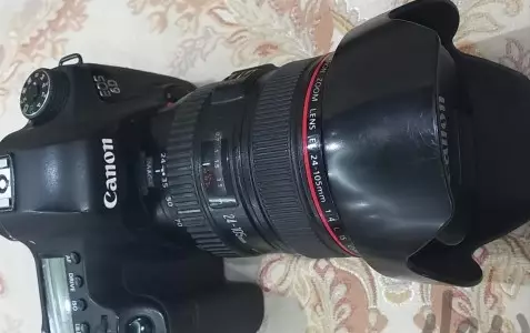 stock