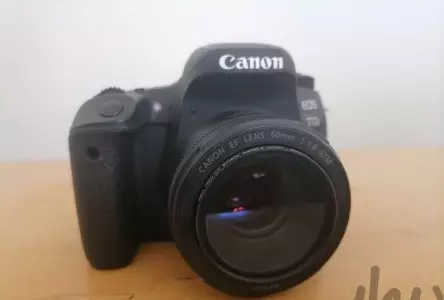 stock