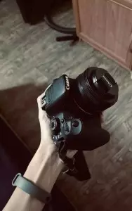 stock