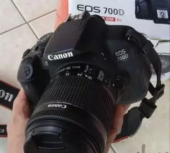 stock