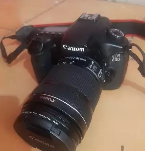 stock