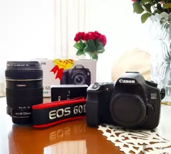 stock
