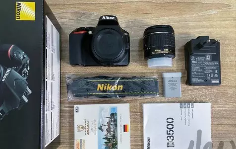 stock