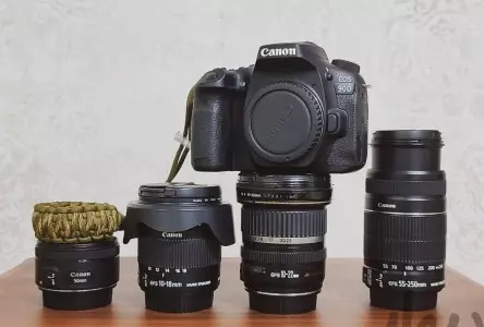 stock