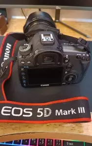 stock