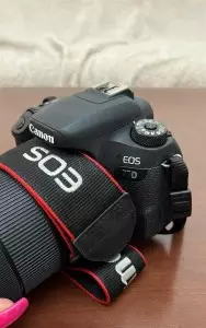 stock