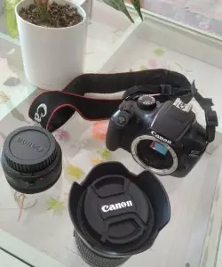 stock