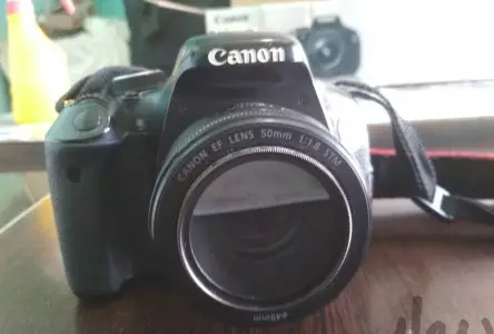 stock
