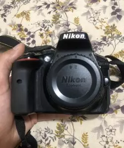 stock