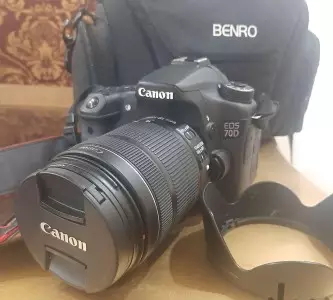 stock