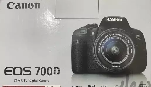 stock