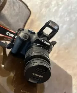stock