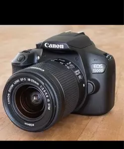 stock