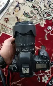 stock