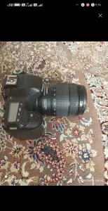 stock