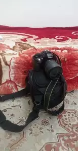 stock