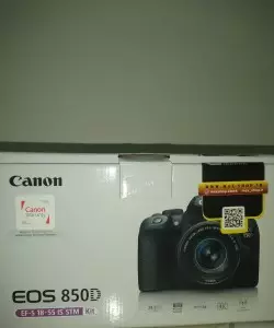 stock