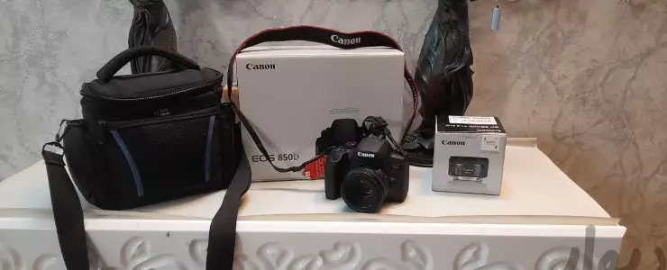 stock