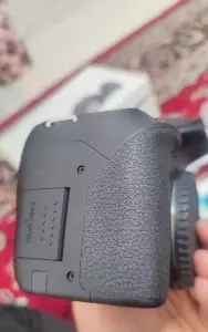 stock