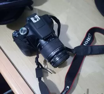 stock